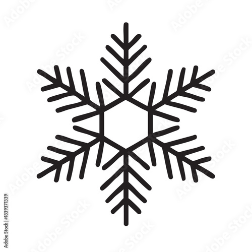 A detailed black and white illustration of a complex symmetrical snowflake design with many branches