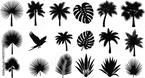 Set of tropical palm tree, fern leaf, and bird silhouettes, including monstera, fan palm, and agave, isolated vector illustration for exotic travel and summer design.