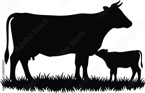 Silhouette of cow and calf standing on grass, depicting maternal care, rural life, and livestock bonding in agriculture
