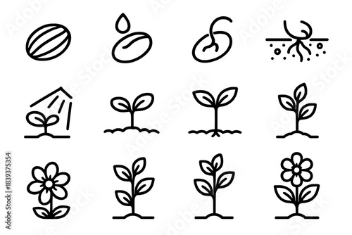 Plant Growth Icons. Botanical Development Stages linear set: dry seed, hydrated seed, germination split, root sprout, cotyledon stage, light beam, nutrient-rich soil, stem rise,