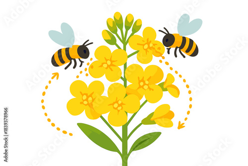 Bees collect pollen from yellow flowers in a garden during a sunny day in spring