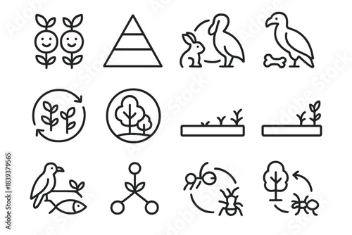 Ecological Interaction Icons. Ecosystem Interaction Schemes linear set: symbiotic pair tile, energy pyramid step, host-benefactor link, scavenger trail icon, nutrient loop plate,