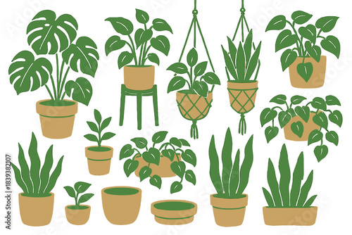 Assortment of green potted plants in ceramic and hanging containers