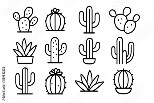 Various cactus and succulent plant line icons in a set