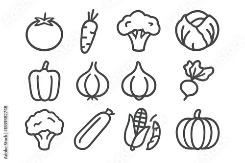 Twelve outline icons of fresh garden vegetables and healthy produce