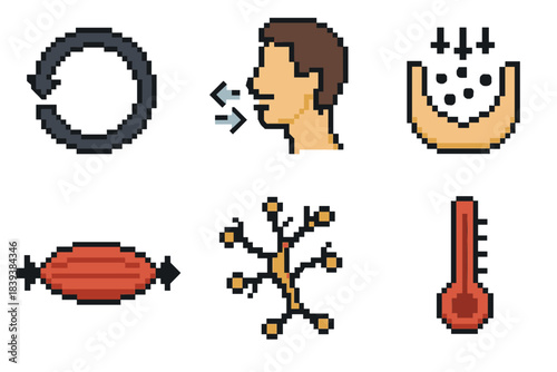 Physiological Icon Set. Physiological Processes Set set of icons in flat pixel vector style: circulation arrow, inhale–exhale icon, nutrient absorption, muscle contraction, nerve