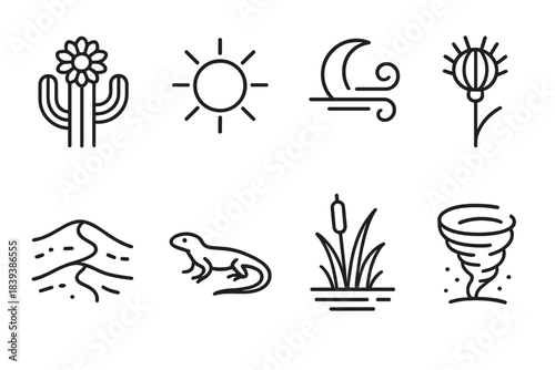 Desert Icons Collection. Seasonal arid landscape linear set: cactus flower, scorching sun disk, cooling night air icon, dry seed head, sandy ridge, small reptile, oasis reed, dust
