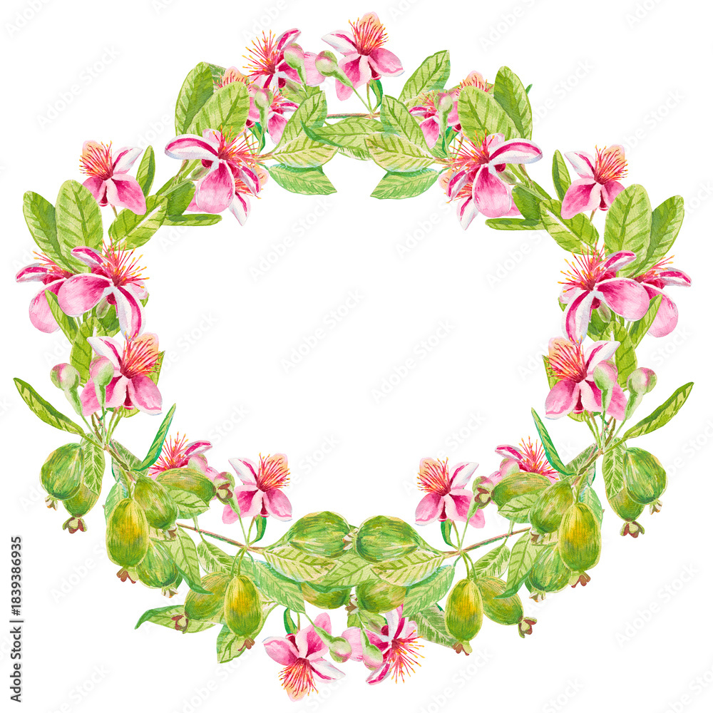 Fototapeta premium Feijoa. Square template wreath for invitation, greeting card, label, banner with place for text with feijoa leaves, buds, fruits and pink flowers. Watercolor hand drawn illustration with copy space