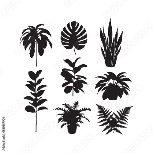 Houseplant Silhouettes Collection,Houseplants Silhouettes,Vector Houseplant Silhouettes,Indoor Plant Silhouettes,houseplant vector