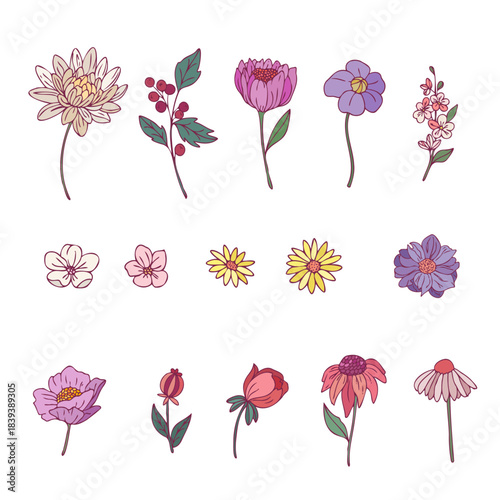 Botanical Elements Set, Vector Flowers, Leaves and Stems, Hand Drawn Floral Clipart, Botanical Illustrations, Vector Botanical Bundle