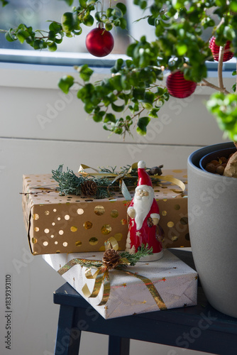 Beautifully wrapped presents and a small Santa Claus under a Ficus benjamina decorated with red ornaments