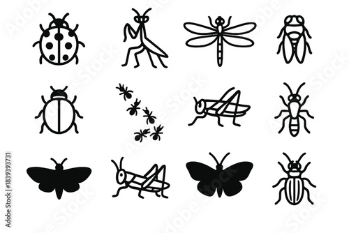 Insect Icon Collection. Insect Biodiversity Set linear set: ladybug, praying mantis, dragonfly, beetle, ant trail, cicada shell, moth silhouette, grasshopper, damselfly, stick