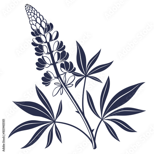 Lupine Botanical Line Art in Dark Blue