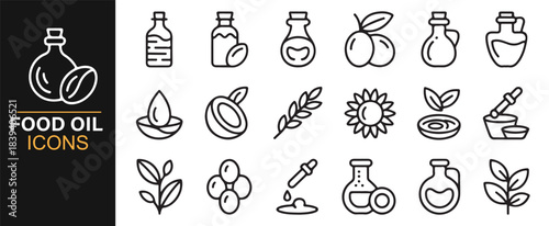 Organic oil illustration set featuring fruit kernels, flasks, seeds, leaves, and liquid drops