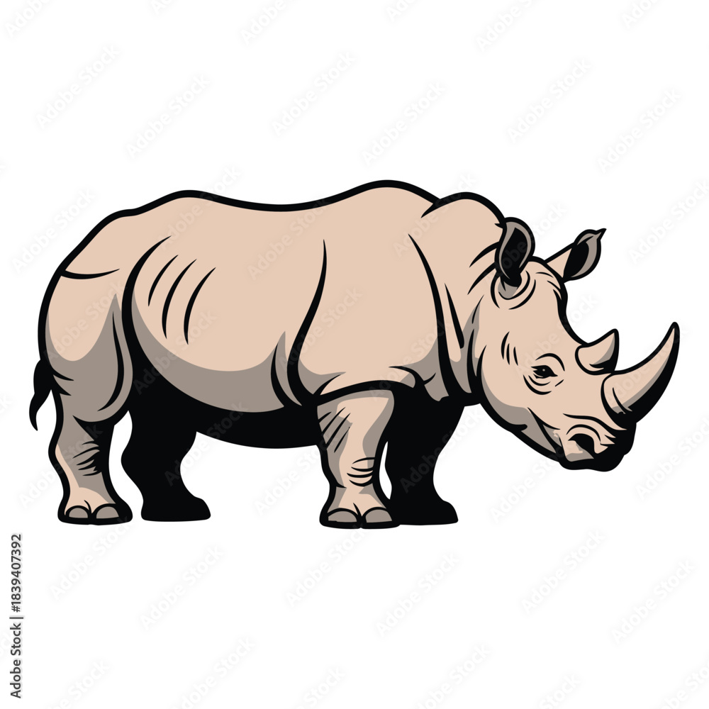 Fototapeta premium rhino isolated on white