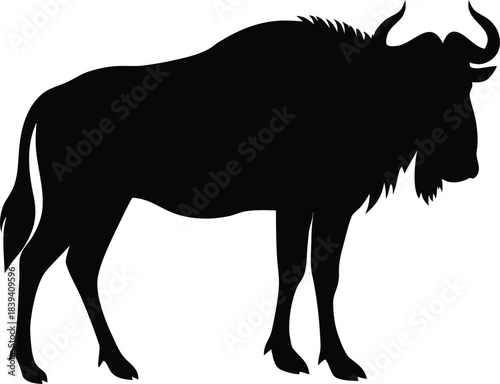 Majestic Silhouette of a Wildebeest Standing Sturdily with Distinctive Horns in Profile