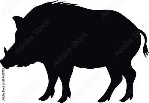 Powerful wild boar animal standing silhouette illustration for wildlife and nature themes