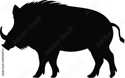 Profile View of a Robust Wild Boar with Prominent Tusks Standing Firmly on Display