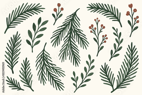 Botanical branches set natural decorative foliage in soft hand drawn style. Includes pine needles, berries, leaves