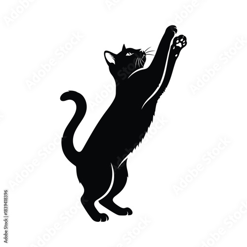 Stylized black cat silhouette standing on hind legs with paws reaching upwards, elegant pet vector art graphic
