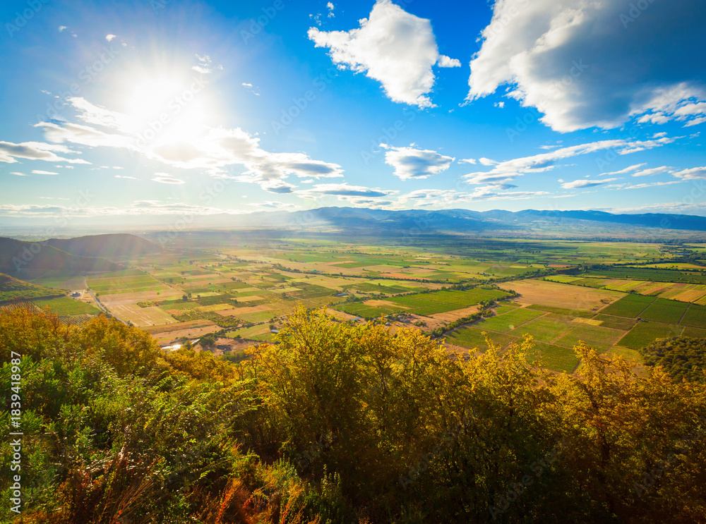 Fototapeta premium Alazani Valley in Kakheti region, Georgia