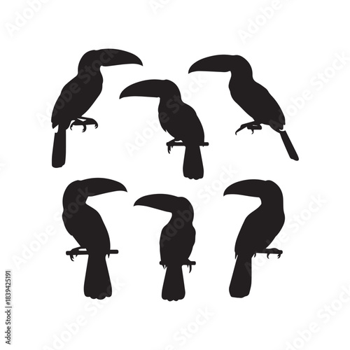 Keel-billed Toucan Silhouettes Collection,Keel-billed Toucans Silhouettes,Vector Keel-billed Toucan Silhouettes,Toucan Bird Silhouettes,keel-billed toucan vector