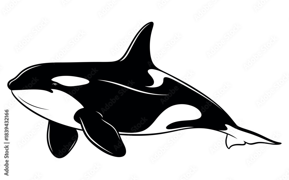 Naklejka premium Majestic blue whale illustration in vibrant cmyk colors