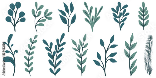 Set of elegant silhouettes of branches and leaves. Thin hand drawn vector botanical elements.	
