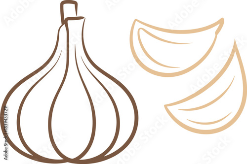 Minimalist garlic illustration with whole garlic bulb and cloves in simple line art style, clean food graphic for cooking and kitchen themes