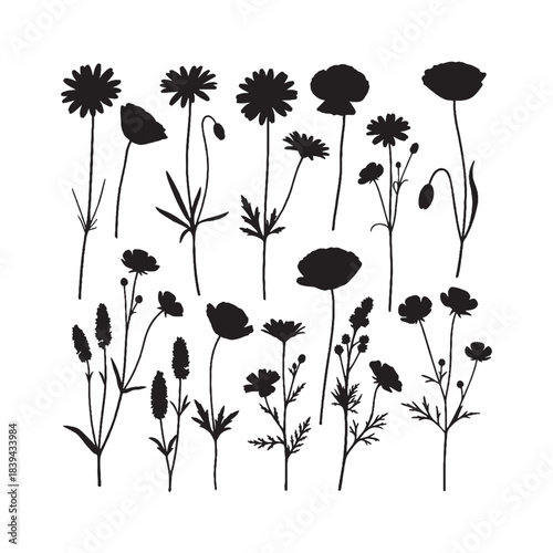Field Flowers Silhouettes Collection,Field Flowers Silhouettes,Vector Field Flower Silhouettes,Wildflower Silhouettes,field flowers vector