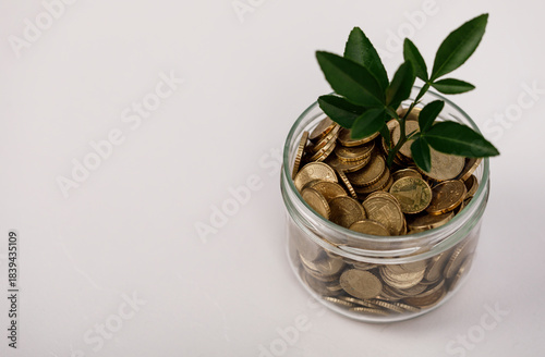 Concept of financial growth...