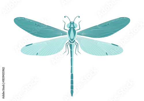 Blue dragonfly insect illustration