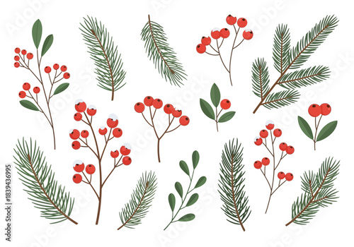 Set of christmas winter holiday pine tree branches and red berries with snow hand drawn vector illustration for greeting card, banner, poster, sticker, design element