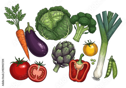 Assortment of fresh garden vegetables including carrot, eggplant, cabbage, broccoli, leek, tomato, artichoke, pepper, and peas