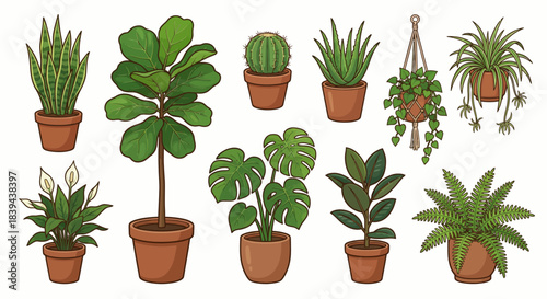 Diverse Indoor Houseplants Collection Cartoon Vector Set
