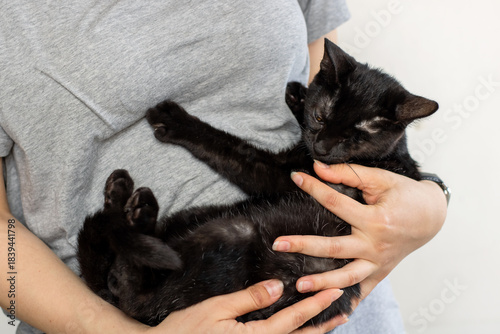 Woman holding cat, Woman affectionately supports black cat lying comfortably on her arms