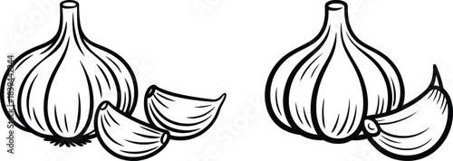 Garlic Bulb and Cloves Outline Vector Illustration.