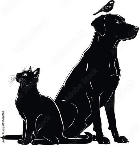 Silhouette of a cat, dog, and bird arranged in a balanced triangular composition on a clean white background
