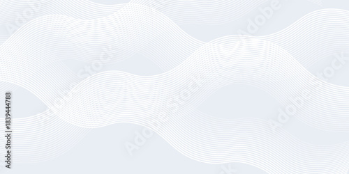Abstract background with white and gray colors. The background features smooth, flowing lines creating a soft, modern texture. Gradient wave background vector. Silver background.
