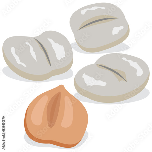 ice apple tender kernel, palmyra palm.