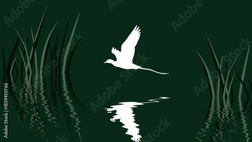 Bird flying over water with reeds in dark green background  