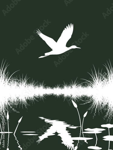 White bird flying over water with reflections and plants  