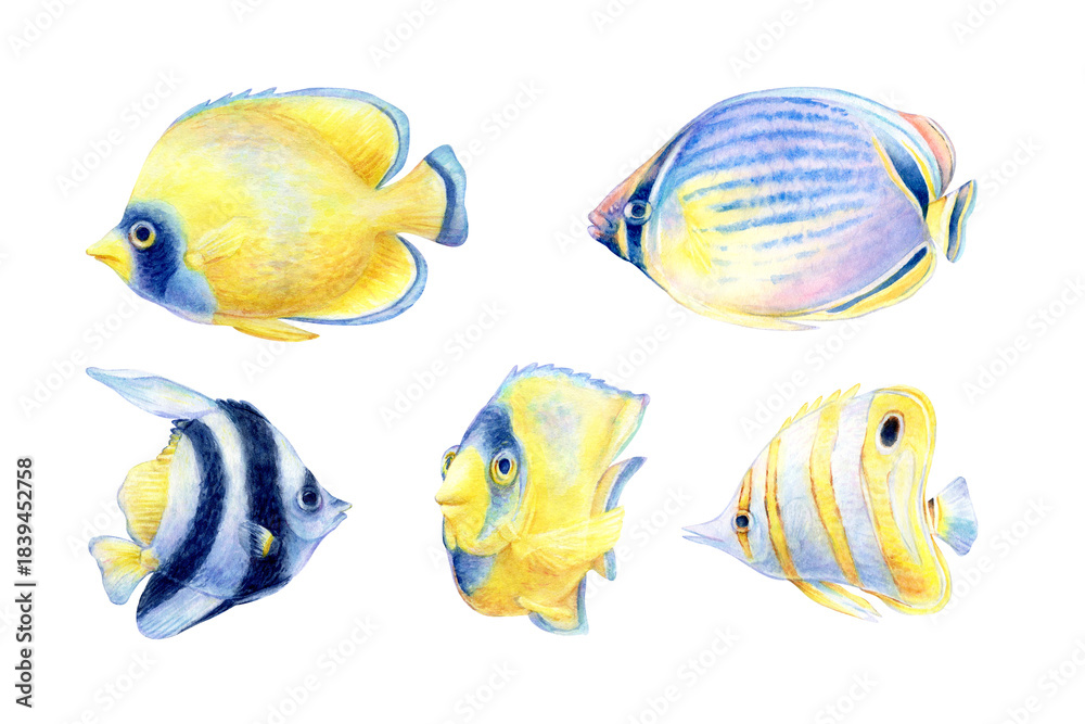 Fototapeta premium A set of five hand-drawn watercolor illustrations of vibrant tropical fish swimming in yellow and blue tones with graceful fins. Perfect for aquatic-themed designs, prints, and greeting cards.