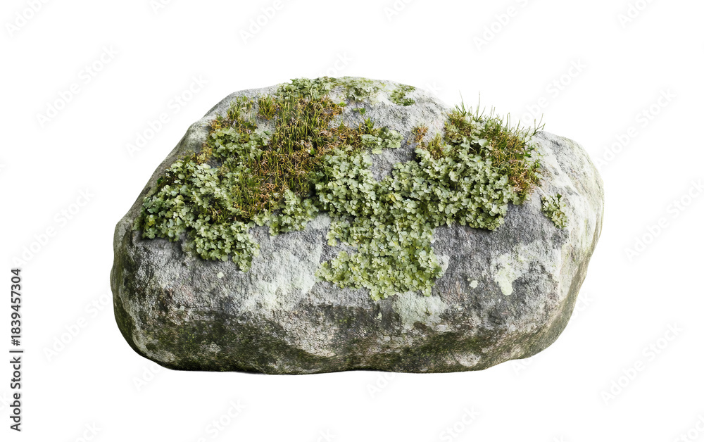 Fototapeta premium A detailed shot of a small stone with green lichen growth presenting rich textures and natural environmental beauty