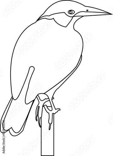 A small bird in a simple vector illustration