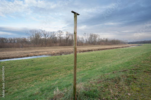 Perch for Birds of Prey Used in Falconry Training