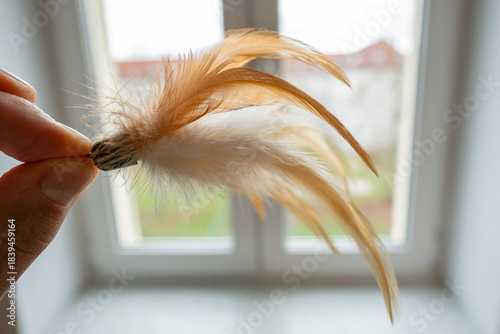 Feather Cat Toy on White Background