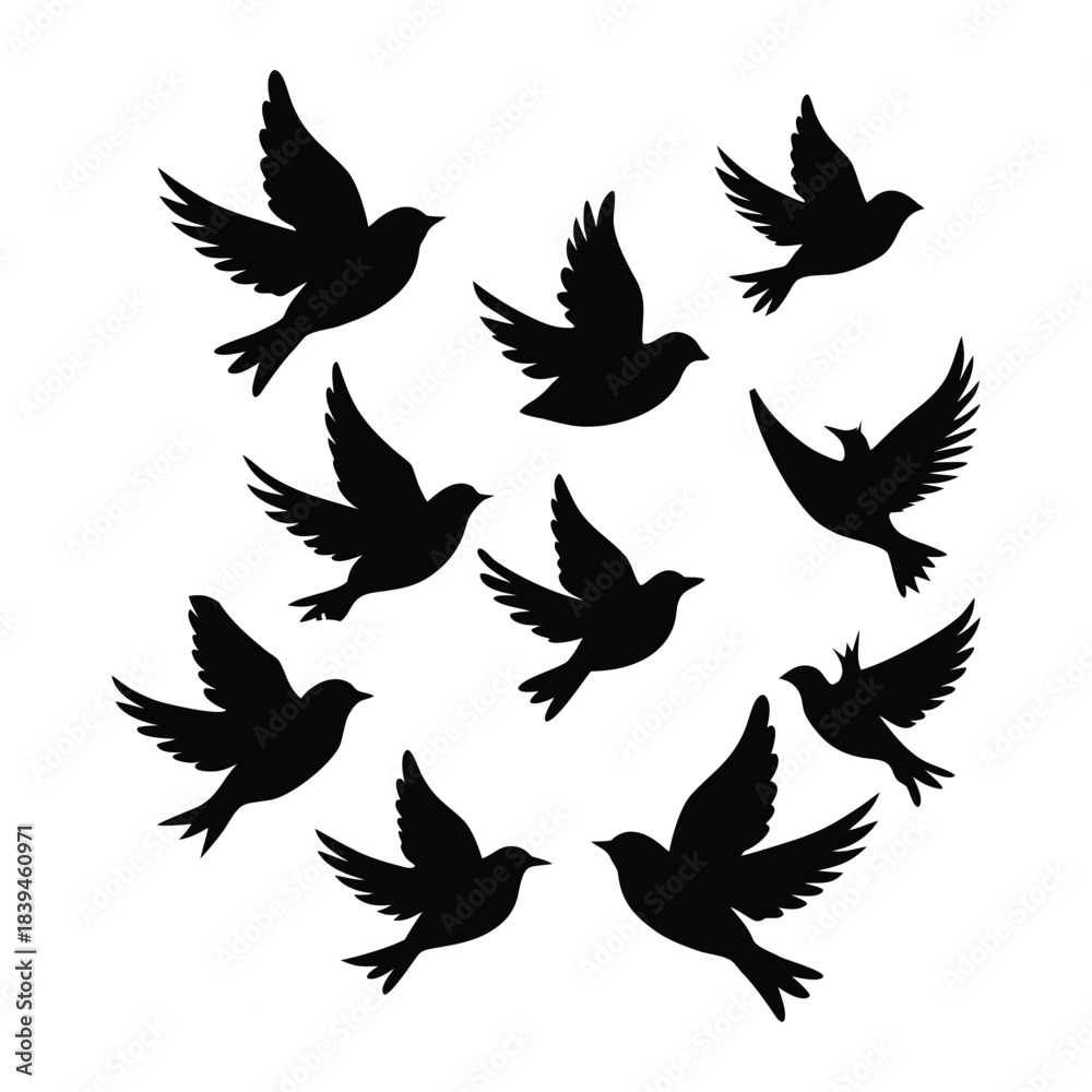 Obraz premium Flock of Black Bird Silhouettes Flying birds
