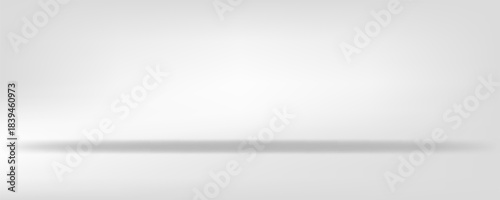 Clear empty photographer studio background Abstract, background texture of beauty dark and light clear blue, cold gray, snowy white gradient flat wall and floor in empty spacious room winter interior.