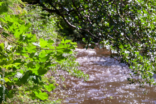 Billede på lærred The Lugton Water flows through Eglinton Country Park in North Ayrshire, Scotland, UK